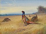 Archibald Thorburn Keeping Watch painting